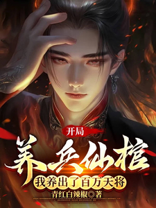 女性视角下的豪门女婿