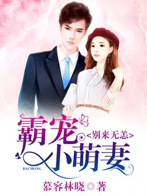 霸宠小萌妻，别来无恙