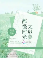 都怪时光太迟暮