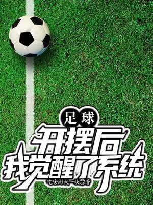 足球：开摆后我觉醒了系统