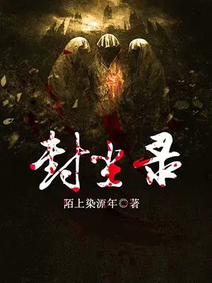 封尘录