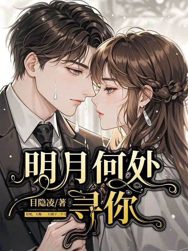 明月何处寻你