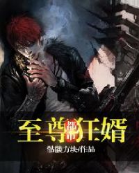 都市至尊狂婿