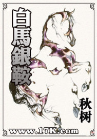 白马银鞍