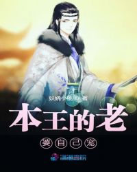 本王的老婆自己宠