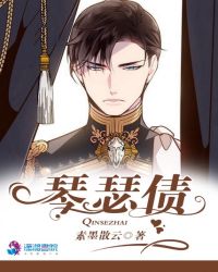 琴瑟债