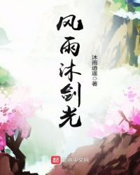 风雨沐剑光