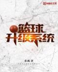 篮球升级系统