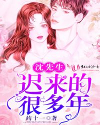 沈先生迟来的很多年