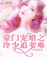 豪门宠婚之冷少追妻难
