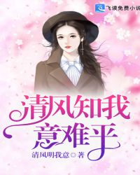 清风知我意难平