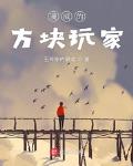 漫威的方块玩家