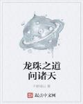 龙珠之道问诸天