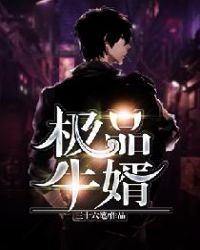 极品牛婿