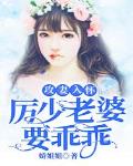 攻妻入怀：厉少老婆要乖乖