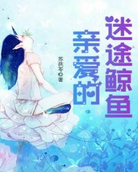 亲爱的迷途鲸鱼