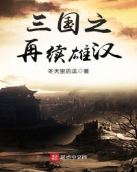 三国之再续雄汉