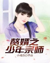 赘婿之少年宗师