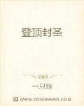 登顶封圣