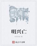 明兴亡