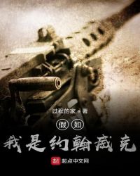 假如我是约翰威克