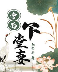 宁为下堂妻
