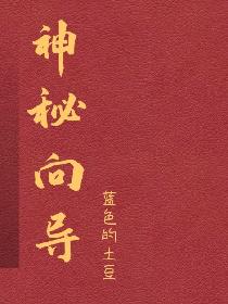 神秘向导