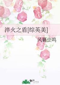 淬火之盾[综英美]