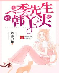 季先生VS韩丫头