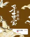 寻寻宝修修仙