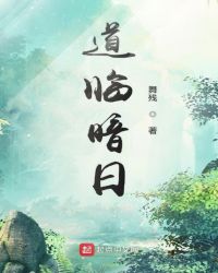 道临暗日