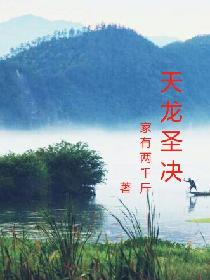 天龙圣决