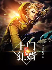 极品上门狂婿