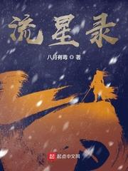 流星录