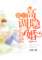 靳少高调隐婚日记