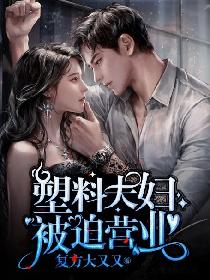 塑料夫妇被迫营业