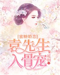 蜜糖婚恋：袁先生入骨宠