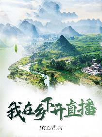 我在乡下开直播
