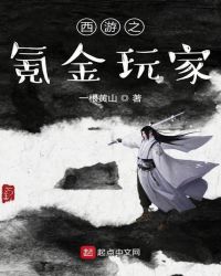 西游之氪金玩家