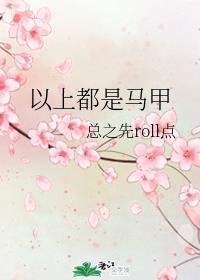 以上都是马甲