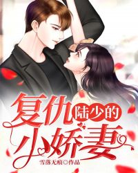 陆少的复仇小娇妻