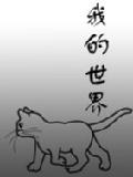 我的世界
