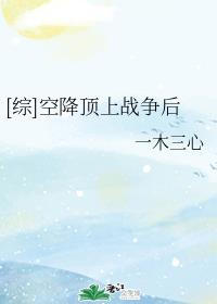 [综]空降顶上战争后
