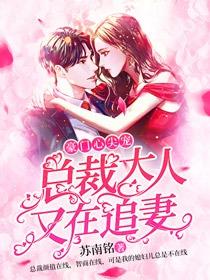 豪门心尖宠：总裁大人又在追妻