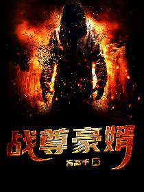 战尊豪婿