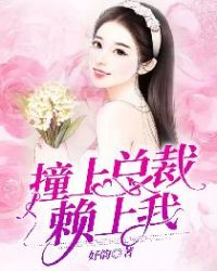 撞上总裁赖上我在线看