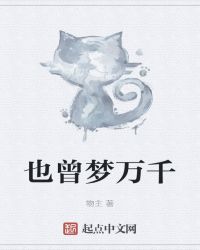也曾梦万千