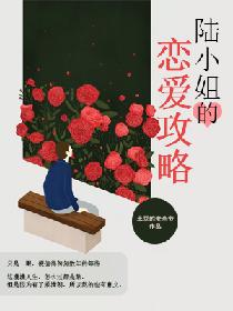 陆小姐的恋爱攻略