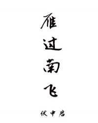 雁过南飞