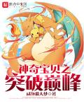 神奇宝贝之突破巅峰